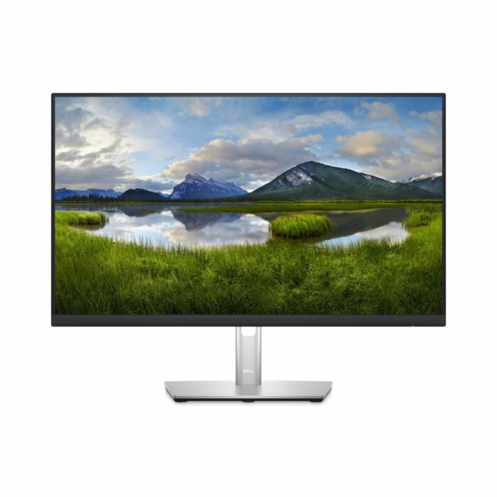 DELL DELL 24 MONITOR P2423D 60,5CM (23,8 )