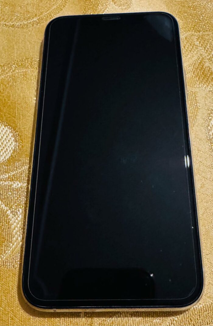 iPhone 11 PRO 256 GB - immagine 2